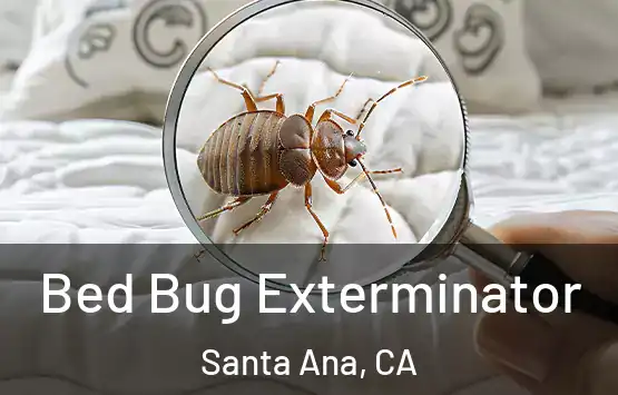  Bed Bug Exterminator Santa Ana, CA