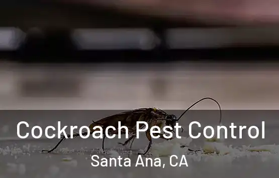  Cockroach Pest Control Santa Ana, CA