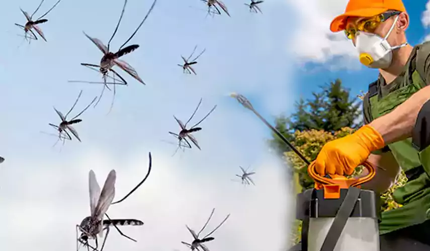 Mosquito Pest Control in Santa Ana, CA