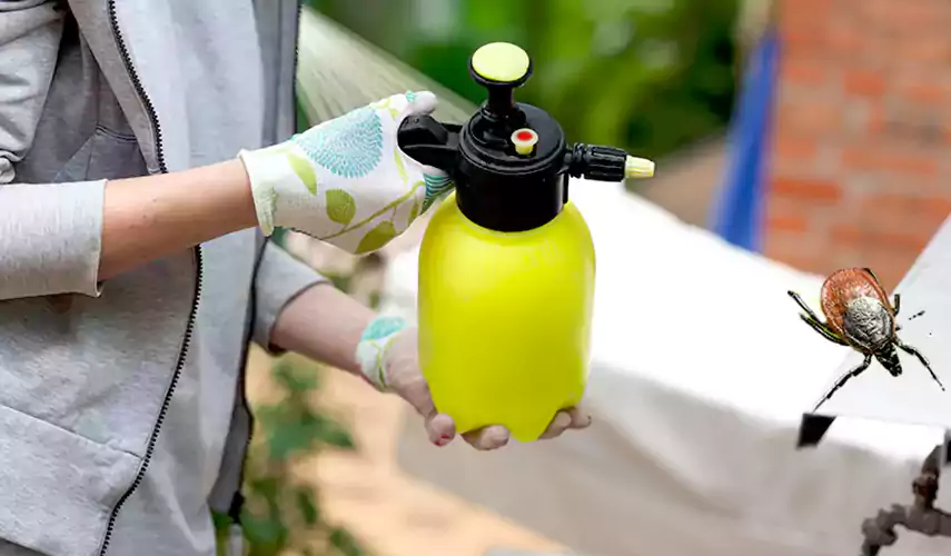 Ticks Pest Control Santa Ana, California