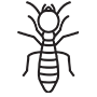 Termites Pest Control Santa Ana, California