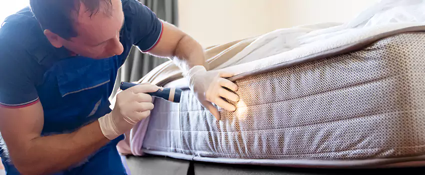 bed-bug-exterminator in Santa Ana, CA