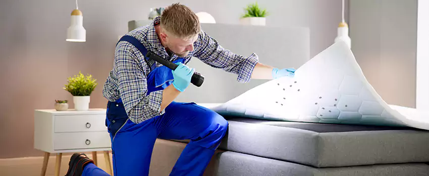 bed-bug-treatment in Santa Ana, CA