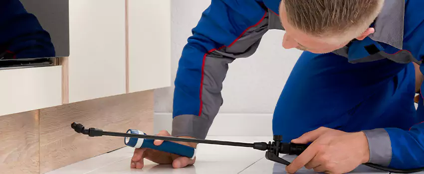 Ant Control for Bedrooms in Santa Ana, CA