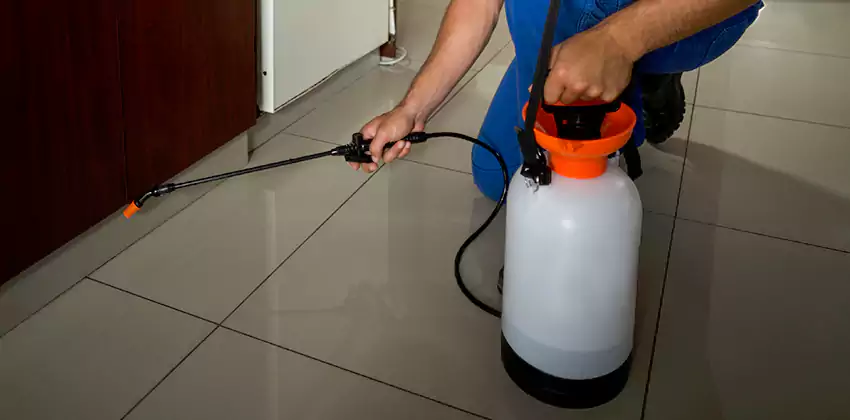 Commercial Pest Extermination for Offices in Santa Ana, CA