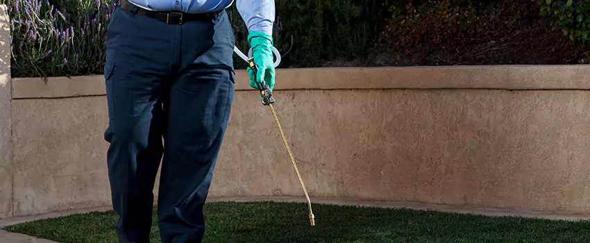 Emergency Pest Extermination for Children and Pets Santa Ana, CA