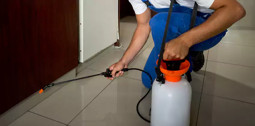 Commercial Flea Exterminator Company in Santa Ana, CA
