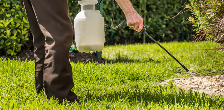 Grub Treatment for Bedrooms Santa Ana, CA