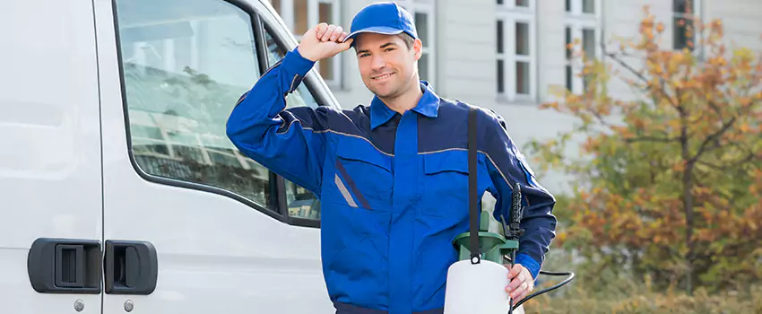 Organic and Chemical Spider Control Options Santa Ana, CA