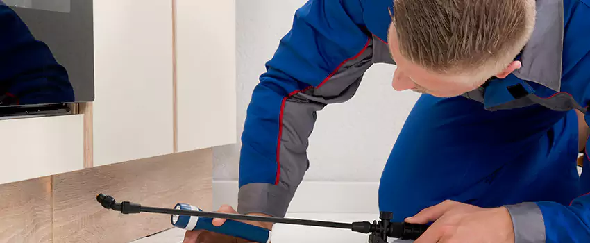 Termite Control for Children and Pets in Santa Ana, CA