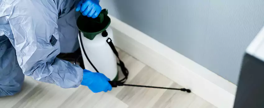 cockroach-exterminator in Santa Ana, CA