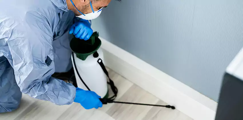 commercial-pest-exterminator in Santa Ana, CA
