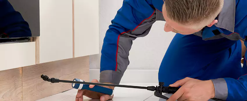 Pest Exterminator Company in Santa Ana, CA