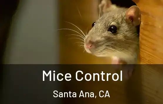  Mice Control Santa Ana, CA