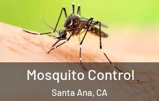  Mosquito Control Santa Ana, CA