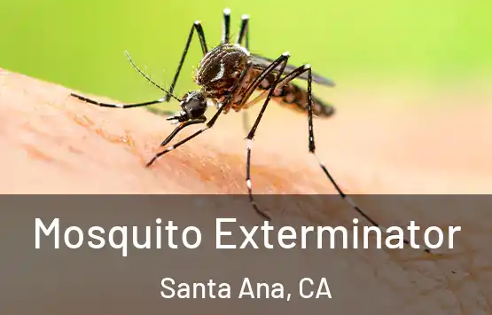  Mosquito Exterminator Santa Ana, CA