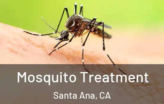  Mosquito Treatment Santa Ana, CA