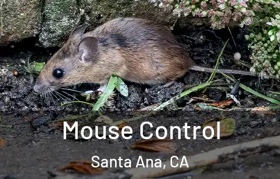  Mouse Control Santa Ana, CA