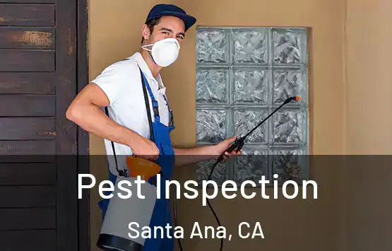  Pest Inspection Santa Ana, CA