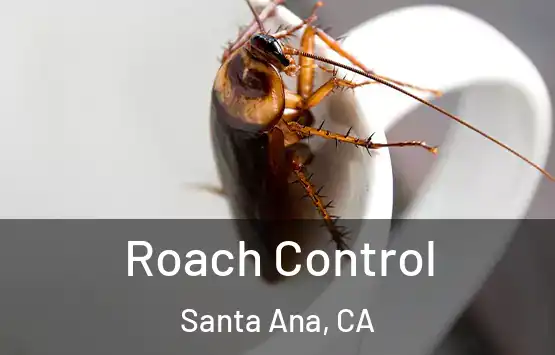  Roach Control Santa Ana, CA