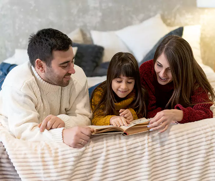 About Bed Bug Pest Control Santa Ana