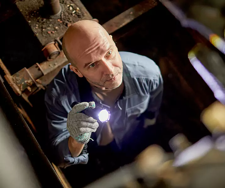 About Pest Inspection Santa Ana