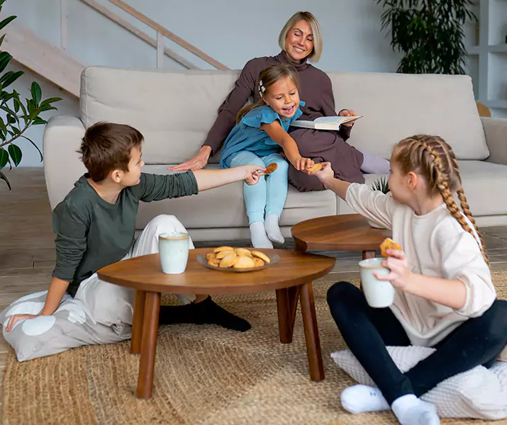 About Spider Exterminator Santa Ana