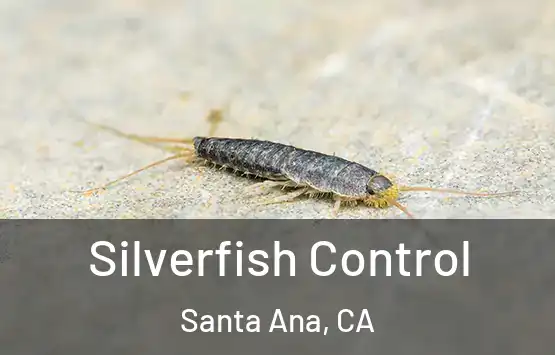  Silverfish Control Santa Ana, CA