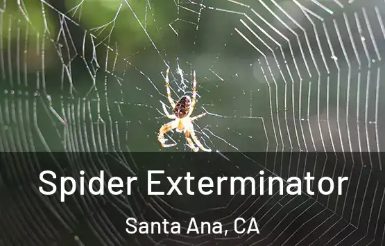  Spider Exterminator Santa Ana, CA