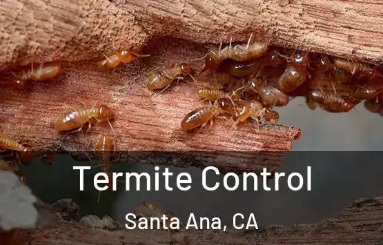  Termite Control Santa Ana, CA