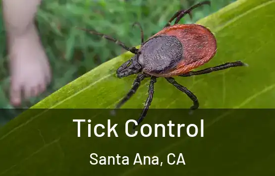  Tick Control Santa Ana, CA