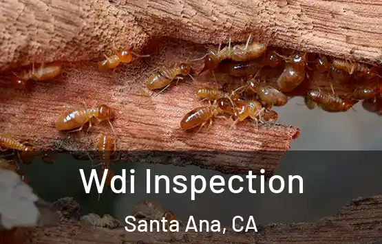  Wdi Inspection Santa Ana, CA