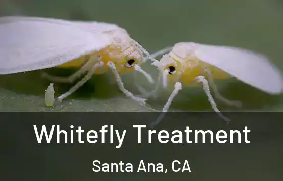  Whitefly Treatment Santa Ana, CA